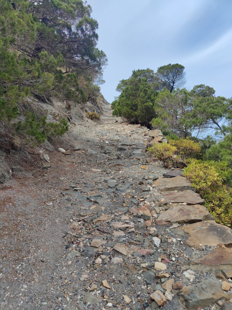 Urlaub auf La Gomera (09/ 2023)