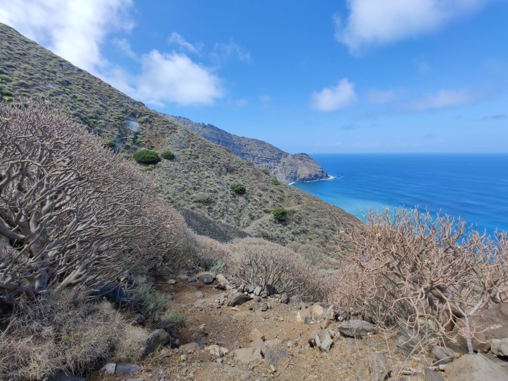 Urlaub auf La Gomera (09/ 2023)