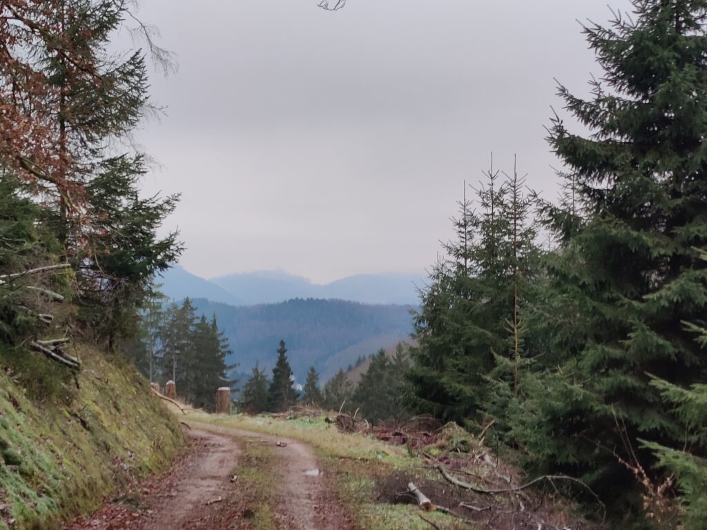 Wildewiese - Auf ins neue Wanderjahr!