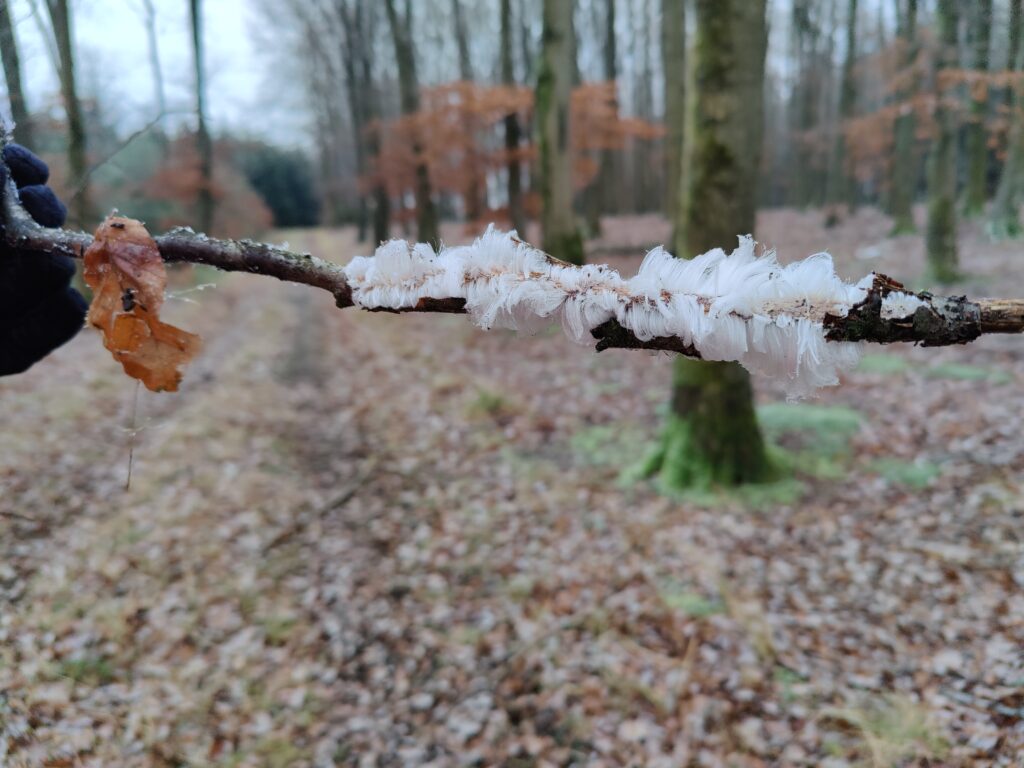 Wildewiese - Auf ins neue Wanderjahr!