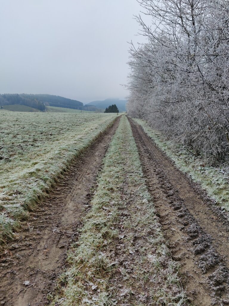 Wildewiese - Auf ins neue Wanderjahr!