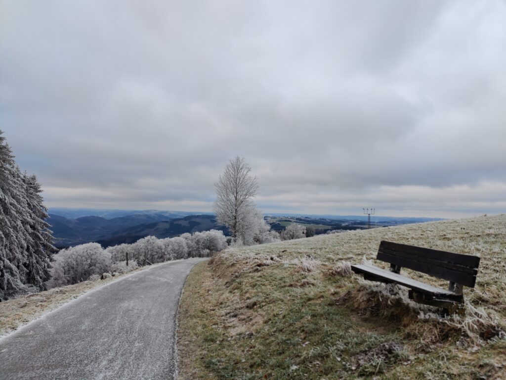 Wildewiese - Auf ins neue Wanderjahr!