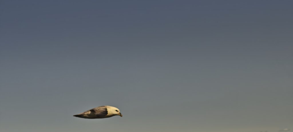 Islandreise 2025