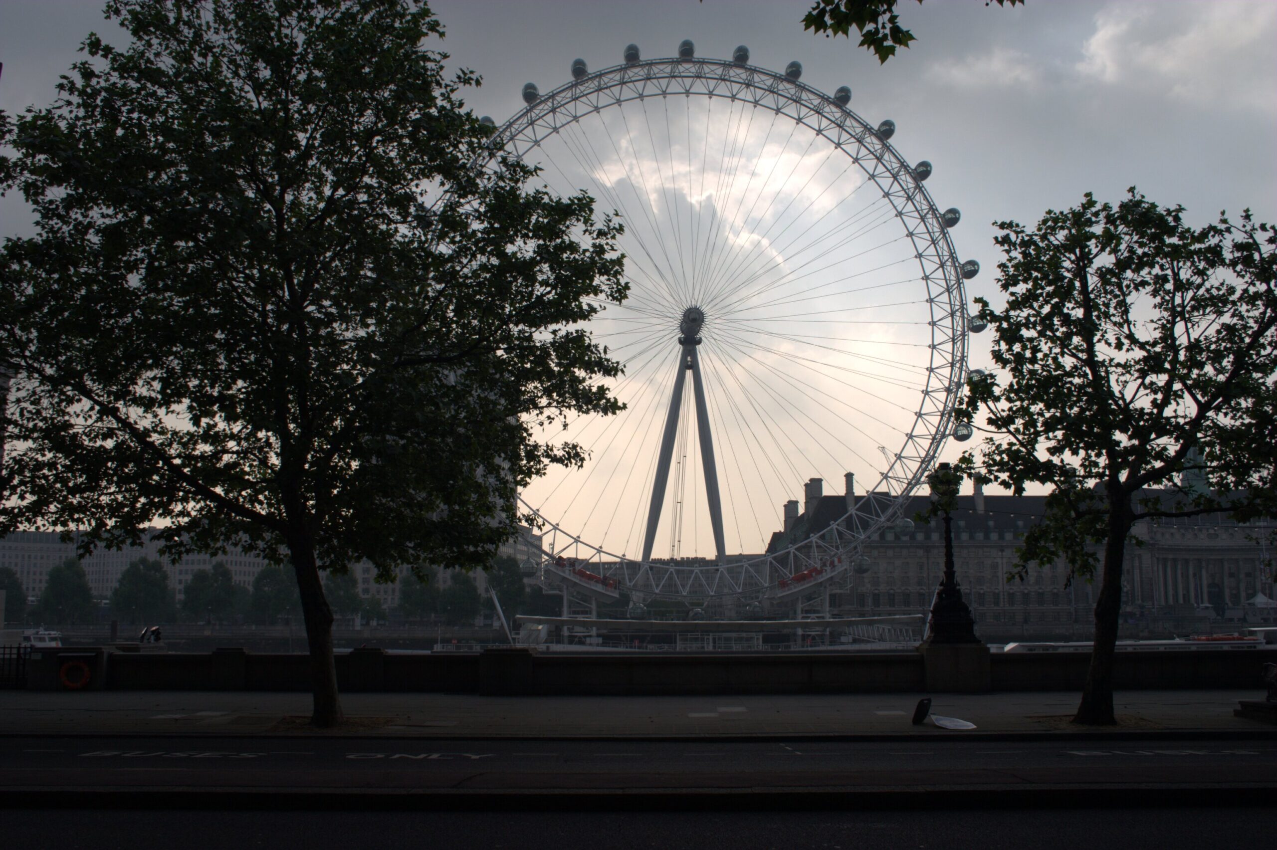 Das London Eye zwischen den Bäumen